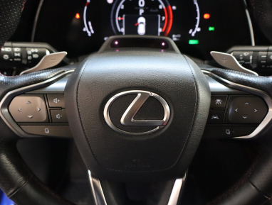 Lexus RX - 2024