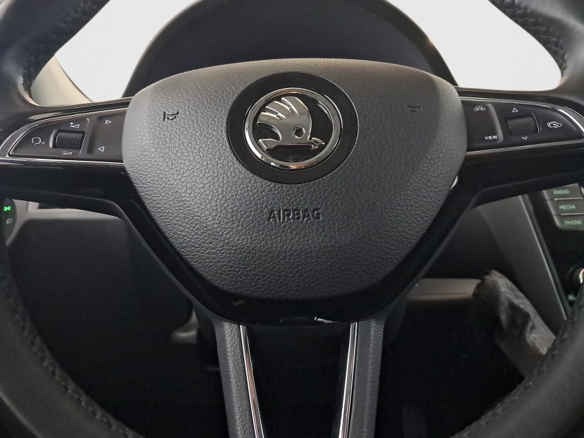 Škoda Rapid, 2019