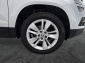 Škoda Karoq, 2019