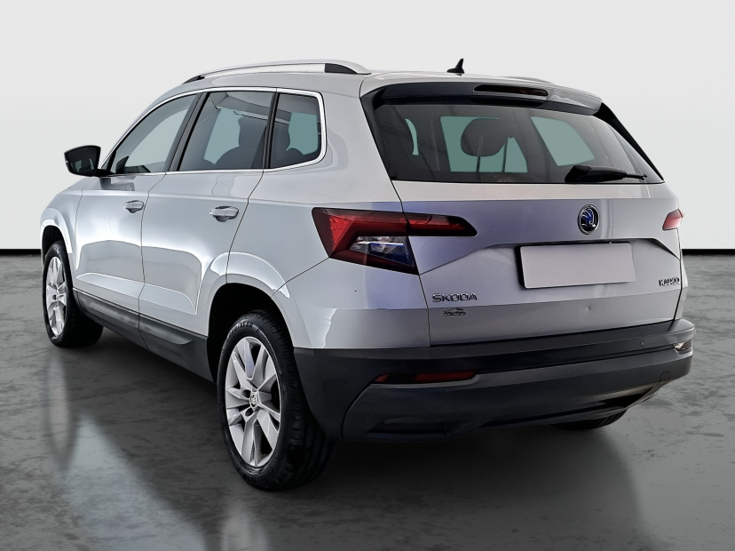 Škoda Karoq, 2019