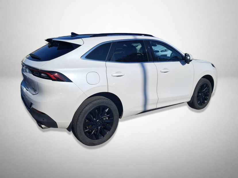 Dongfeng Forthing T5 EVO, 2024