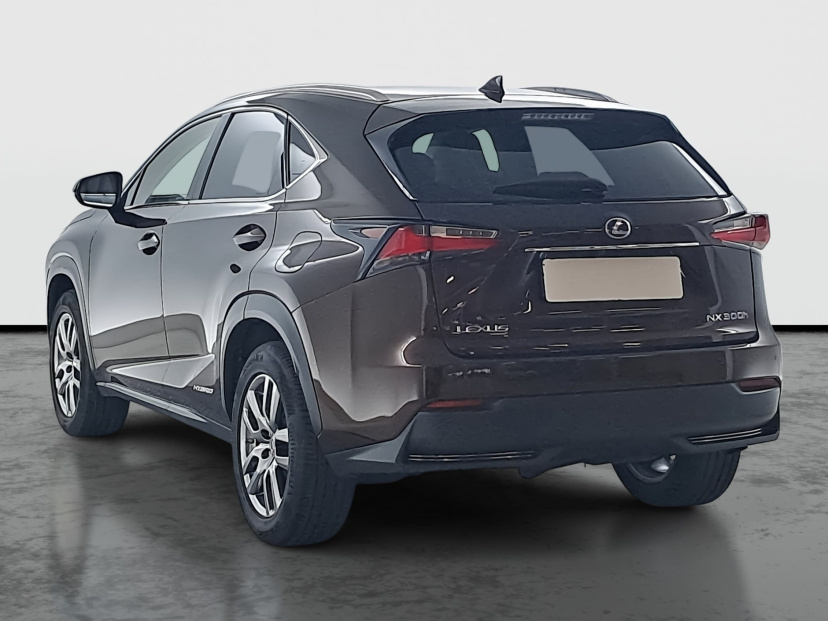Lexus NX, 2016