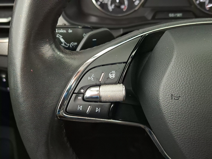 Škoda Kamiq, 2021