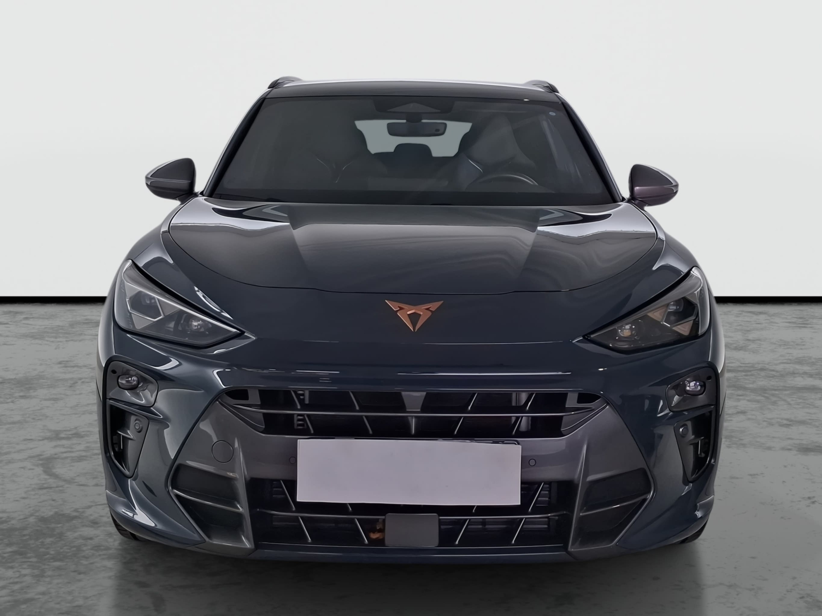 Cupra Terramar - 2025