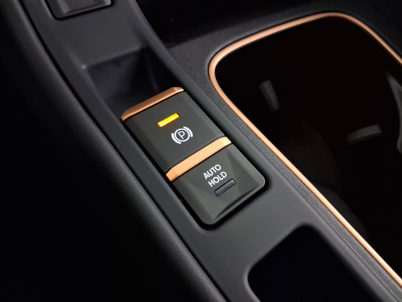 Cupra Terramar, 2025