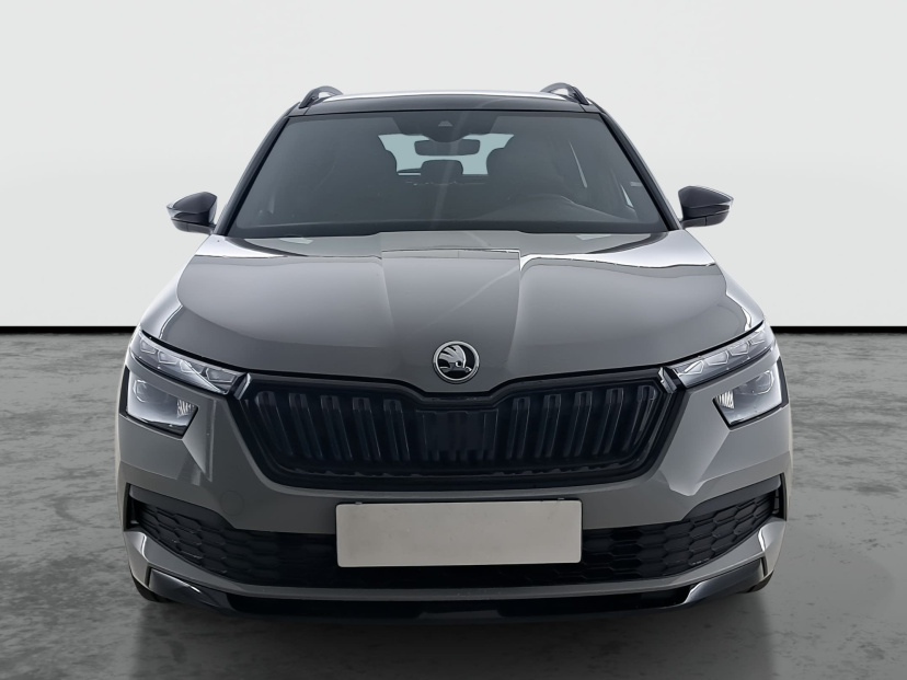 Škoda Kamiq, 2020