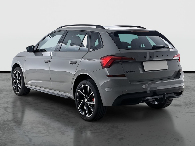 Škoda Kamiq, 2020