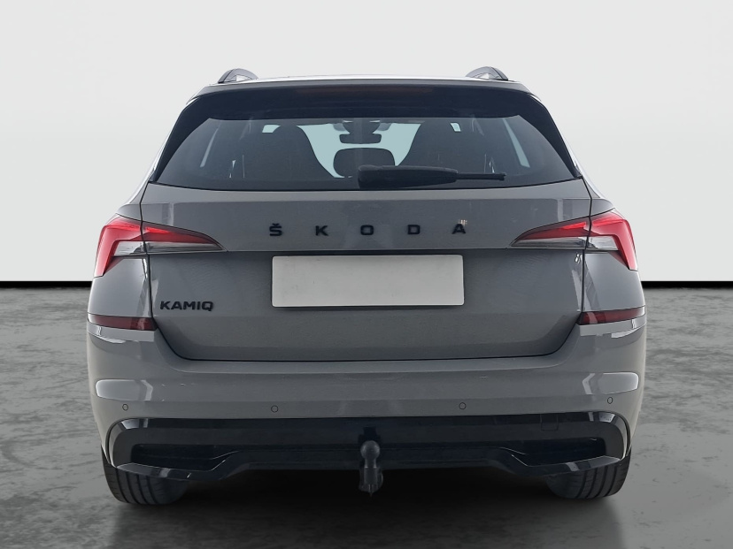Škoda Kamiq, 2020
