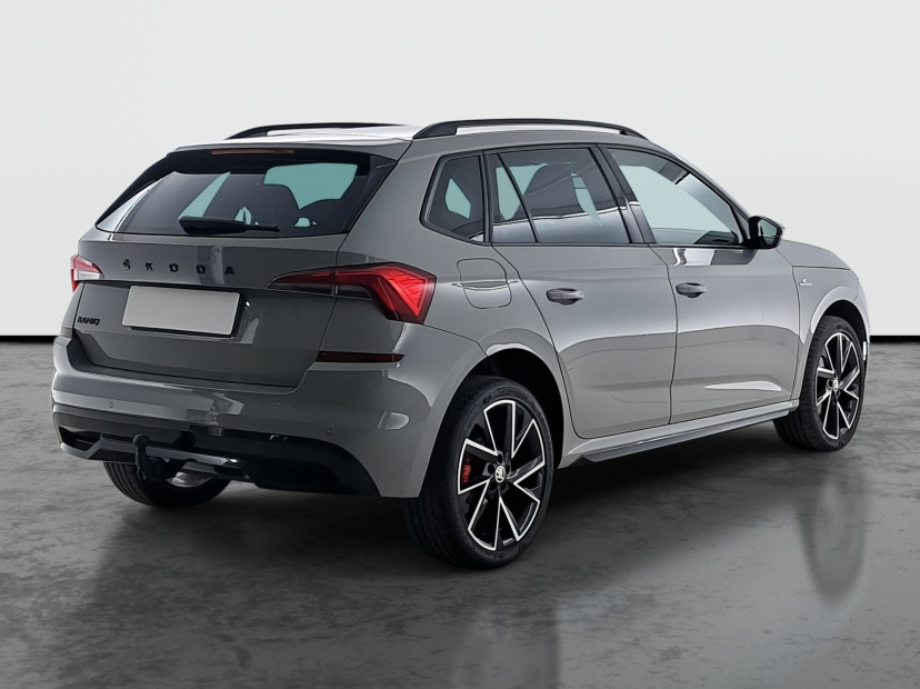 Škoda Kamiq, 2020