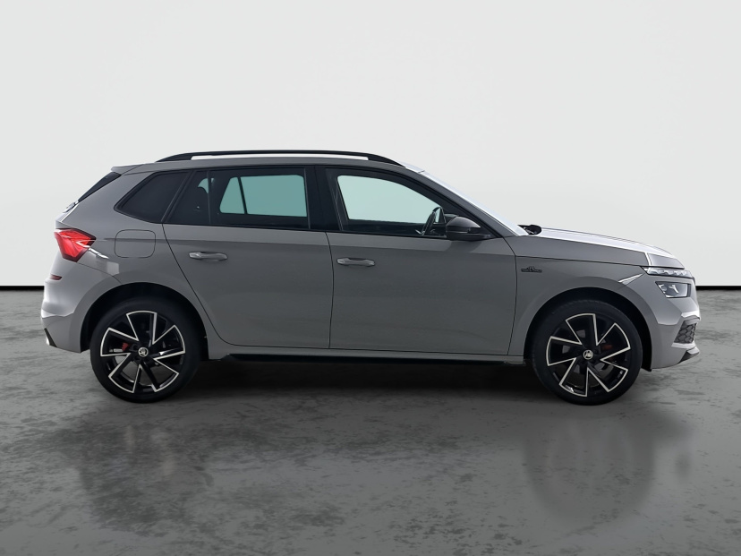 Škoda Kamiq, 2020