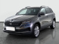 Škoda Karoq, 2025