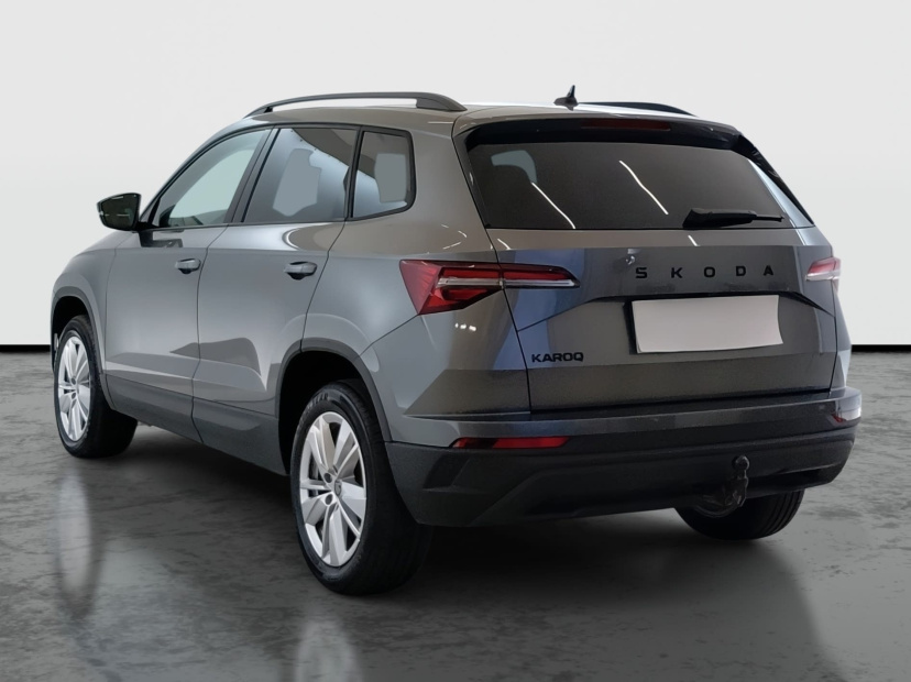 Škoda Karoq, 2025
