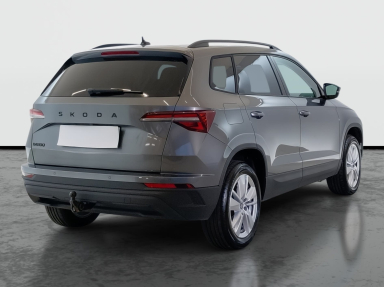 Škoda Karoq - 2025