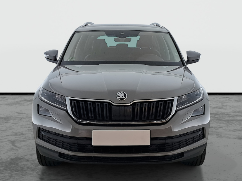 Škoda Kodiaq, 2019