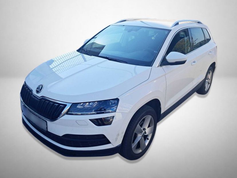 Škoda Karoq, 2019