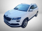 Škoda Karoq, 2019