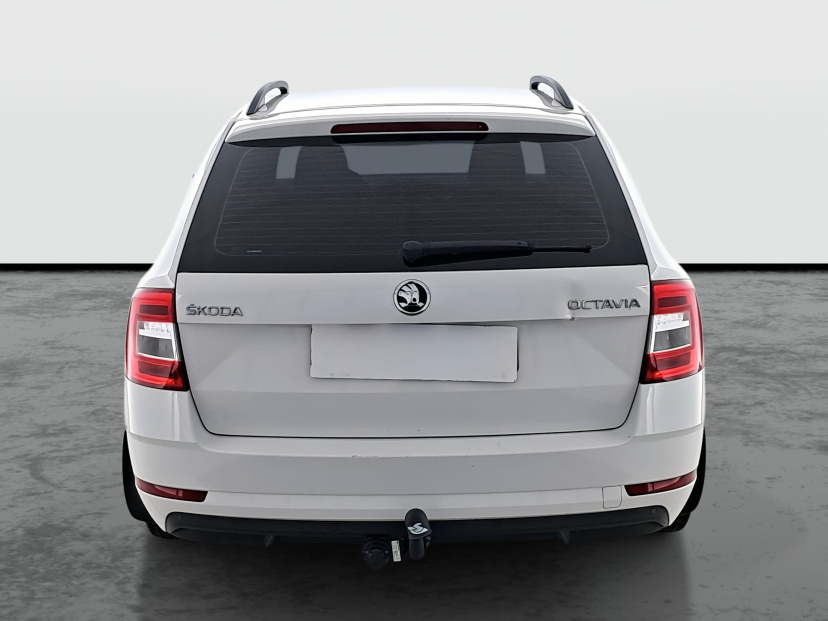 Škoda Octavia, 2019