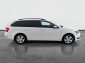 Škoda Octavia, 2019