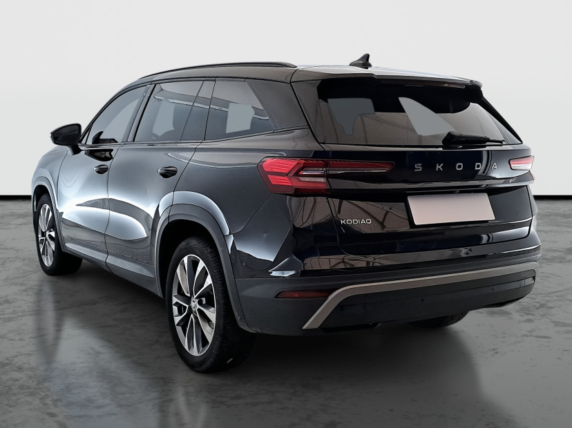 Škoda Kodiaq, 2024