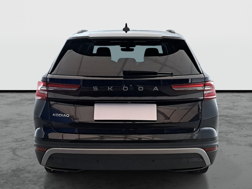Škoda Kodiaq, 2024