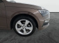 Škoda Scala, 2019
