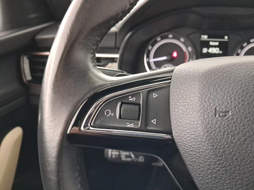 Škoda Scala, 2019