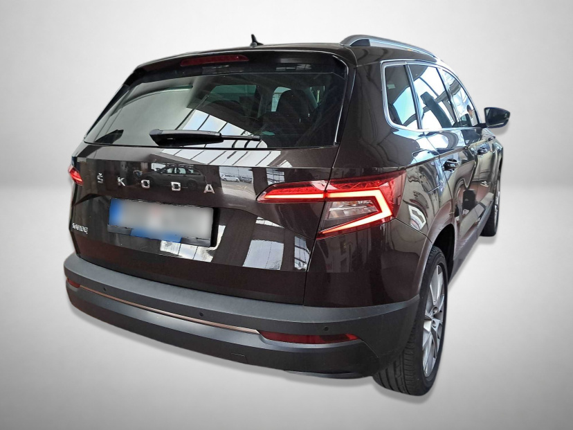 Škoda Karoq, 2020