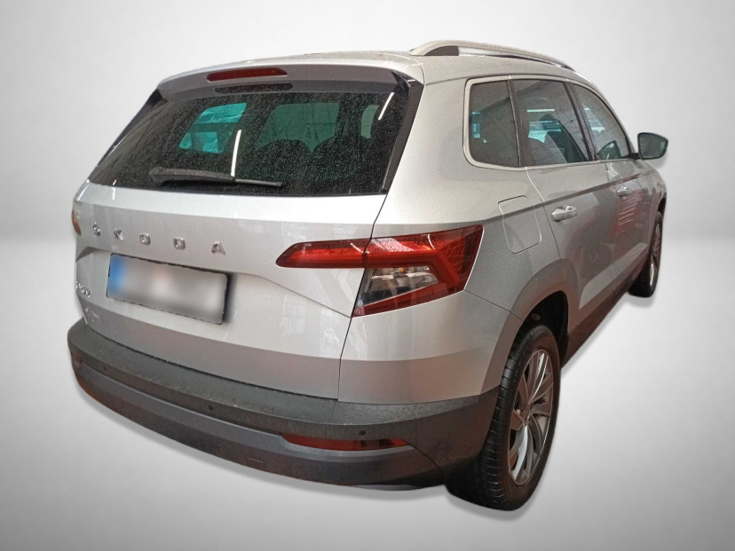 Škoda Karoq, 2020