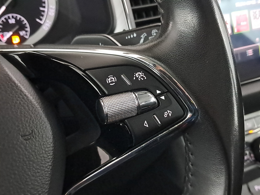Škoda Kodiaq, 2021