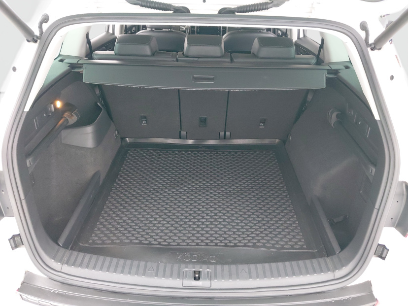 Škoda Kodiaq, 2020