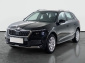 Škoda Kamiq, 2020