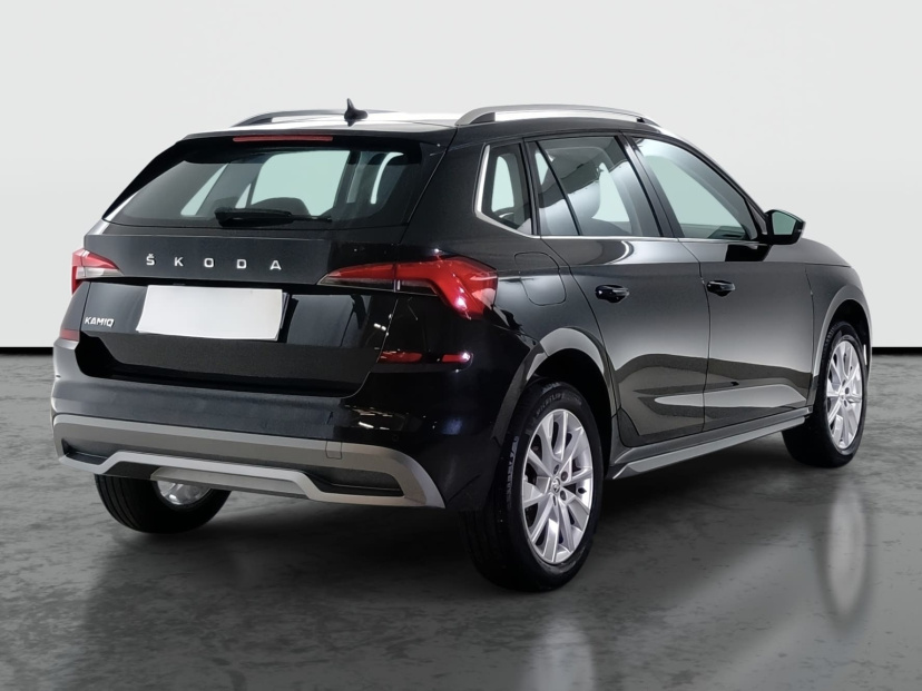 Škoda Kamiq, 2020