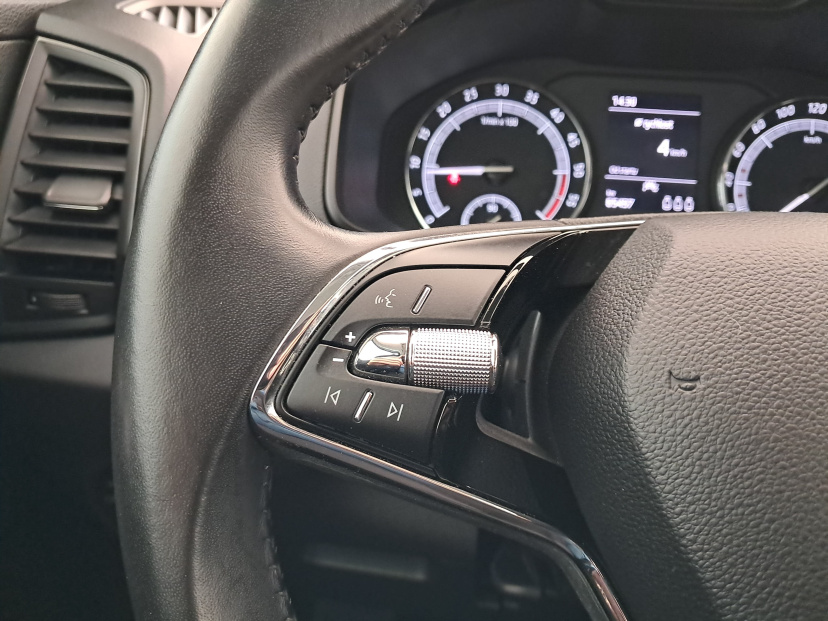 Škoda Karoq, 2021