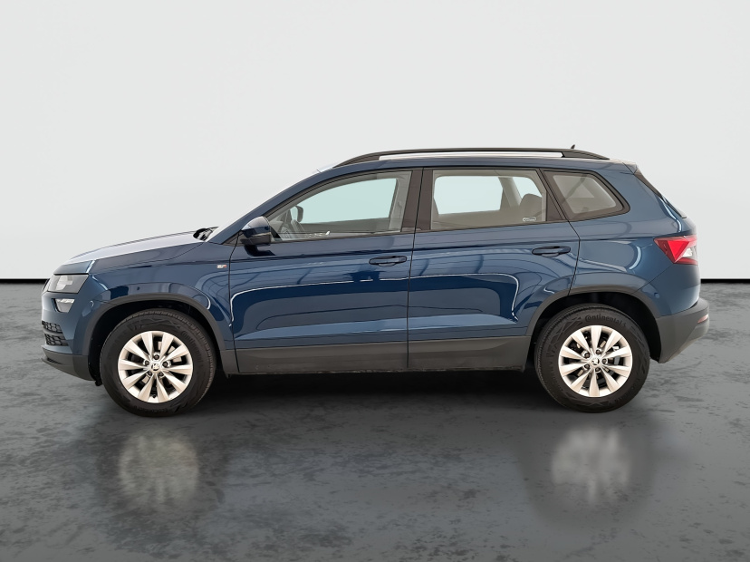 Škoda Karoq, 2021