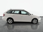 Škoda Fabia, 2019