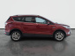 Ford Kuga, 2019