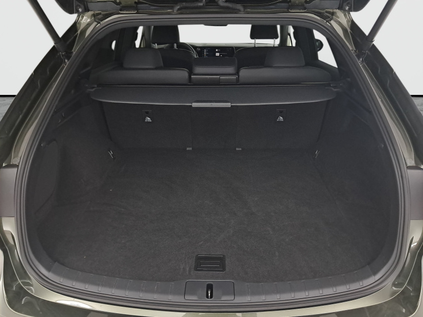Lexus RX, 2024
