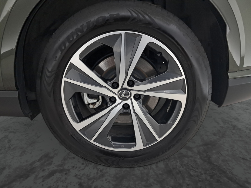 Lexus RX, 2024