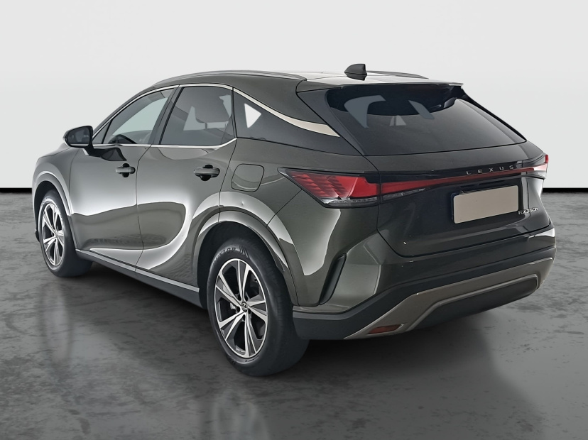 Lexus RX, 2024