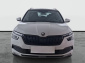 Škoda Kamiq, 2020
