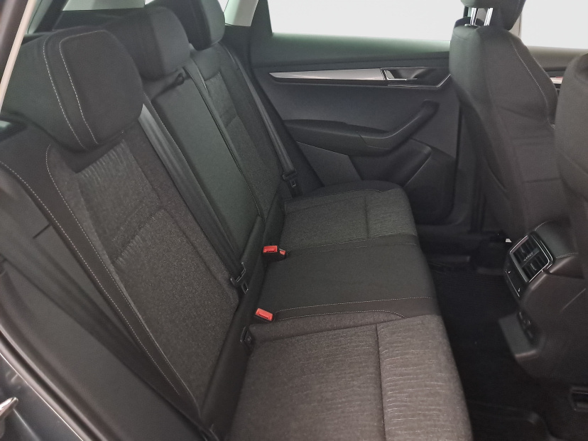 Škoda Karoq, 2019