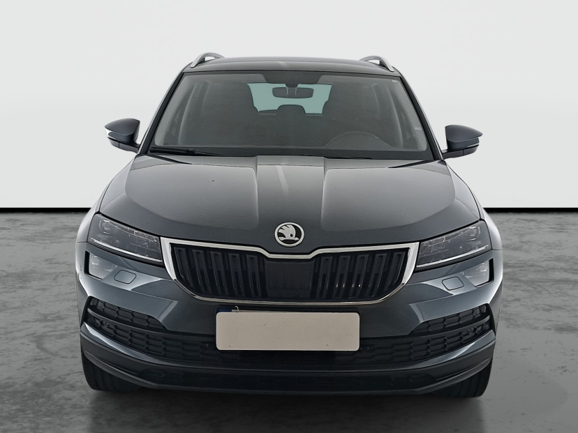Škoda Karoq, 2019