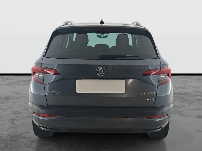 Škoda Karoq, 2019