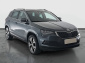 Škoda Karoq, 2019