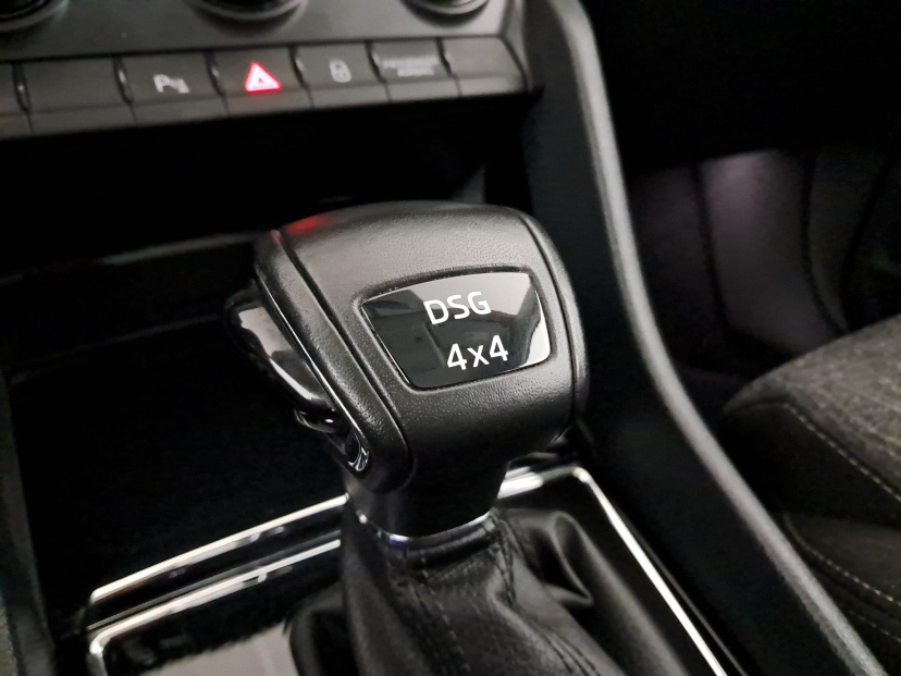 Škoda Kodiaq, 2019