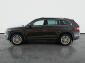 Škoda Kodiaq, 2019