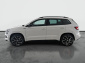 Škoda Karoq, 2021