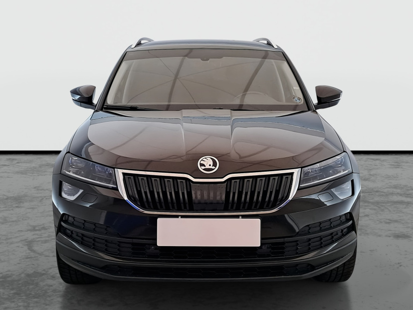 Škoda Karoq, 2019