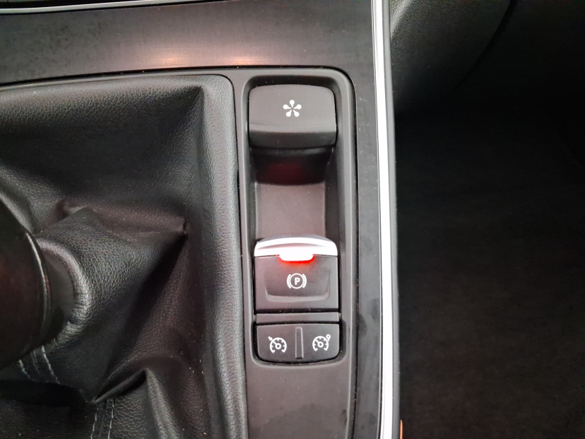 Renault Grand Scenic, 2019