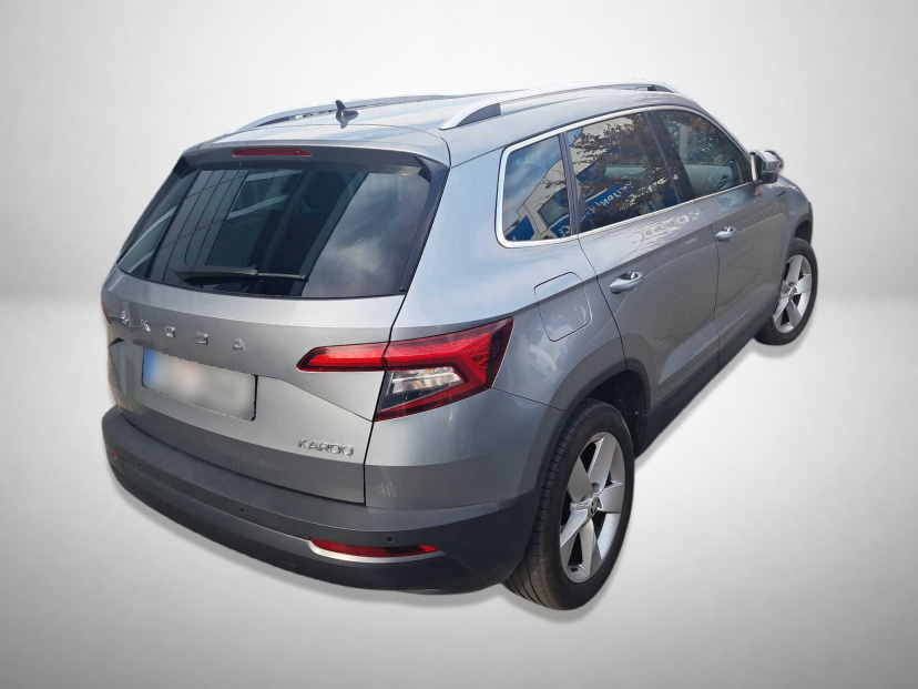 Škoda Karoq, 2019